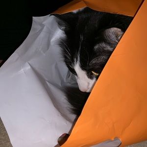 Meet your Posher, Erica